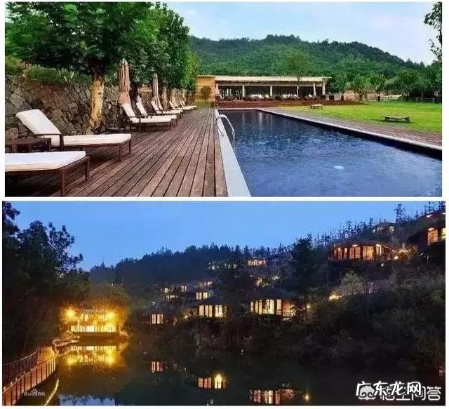 杨丽萍老师现在情况怎么样？