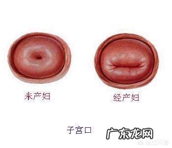 最打动你内心的歌词是哪句？