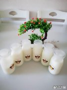 现在哪个牌子的酸奶纯正？