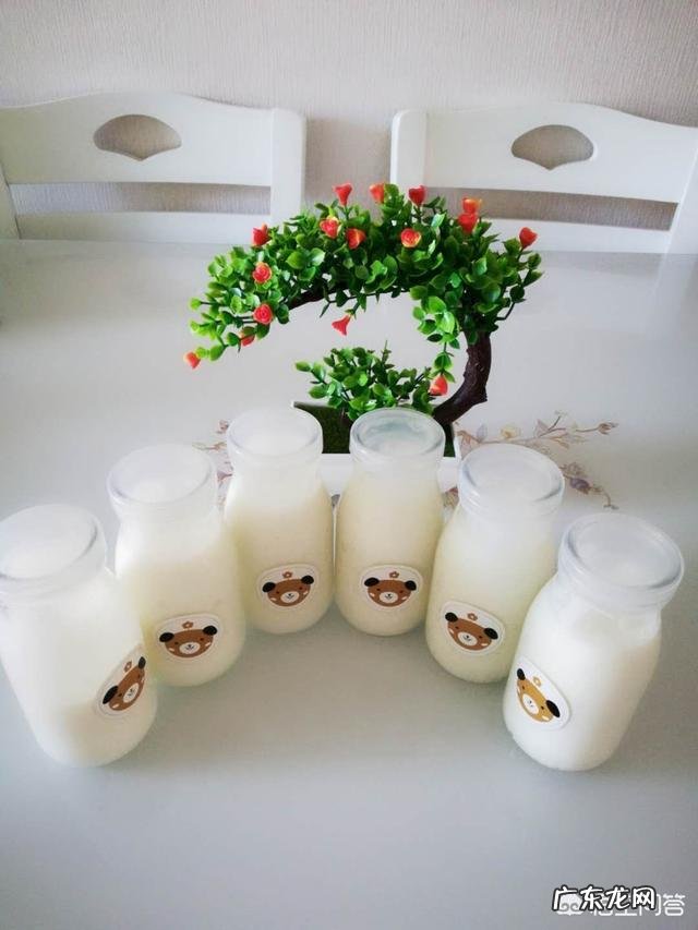 现在哪个牌子的酸奶纯正？