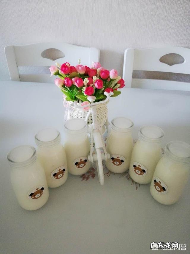 现在哪个牌子的酸奶纯正？