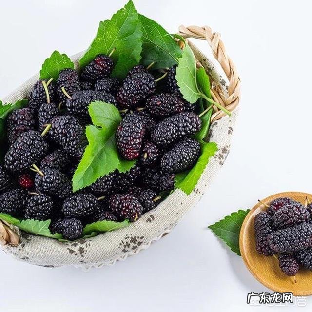 自酿山楂酒的制作方法是什么?