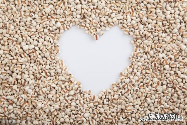 薏米纯牛奶熬粥有哪些功效,可以减肥吗?