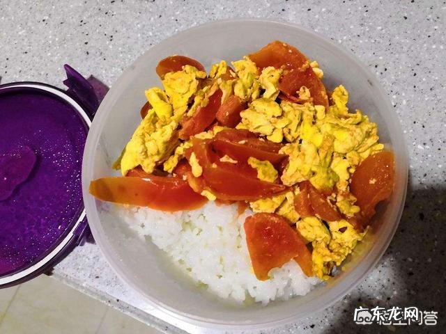 公司里每天都自带午饭的人你怎么看?