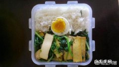 公司里每天都自带午饭的人你怎么看？