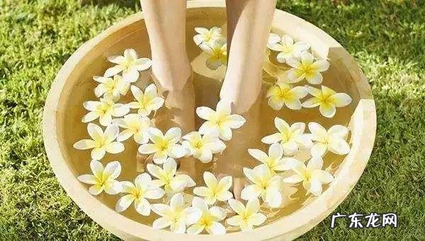 整天吹空调湿气重?晚上泡脚在水中撒点艾草,防蚊去湿一次搞定!