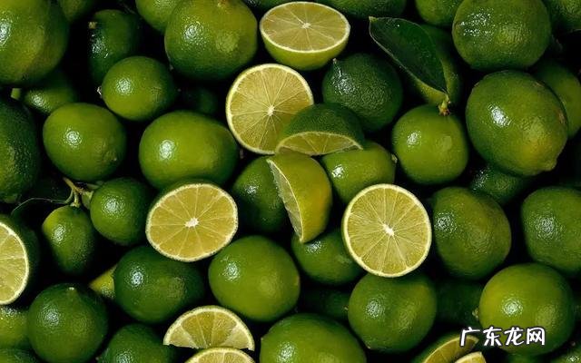 整天吹空调湿气重?晚上泡脚在水中撒点艾草,防蚊去湿一次搞定!