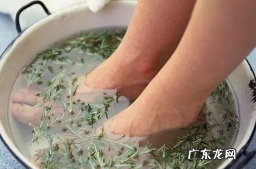 整天吹空调湿气重?晚上泡脚在水中撒点艾草,防蚊去湿一次搞定!