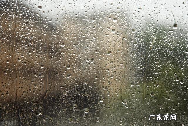 薏米可以和糯米一起煮除湿吗