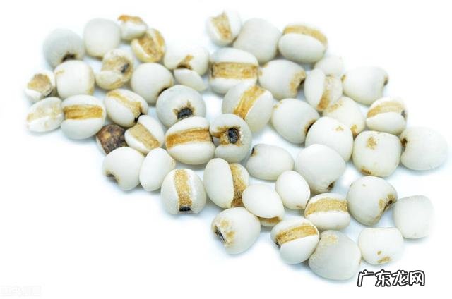 薏米可以和糯米一起煮除湿吗