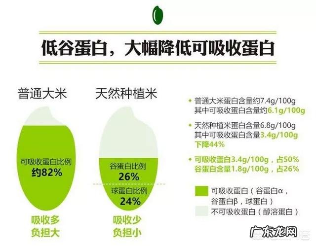 适合肾病患者吃的主食有哪些?