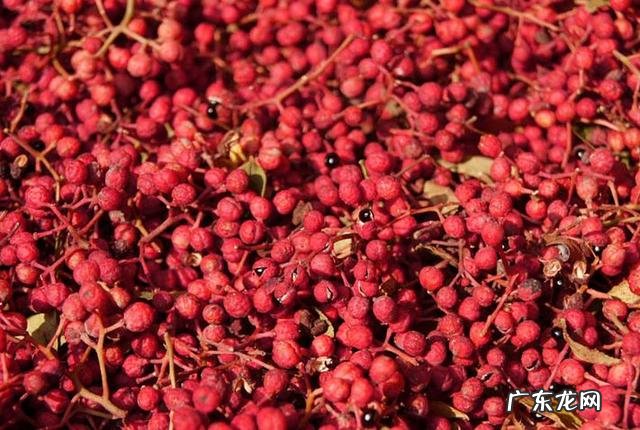 每天泡脚在水里放这些,分分钟逼出体内湿气