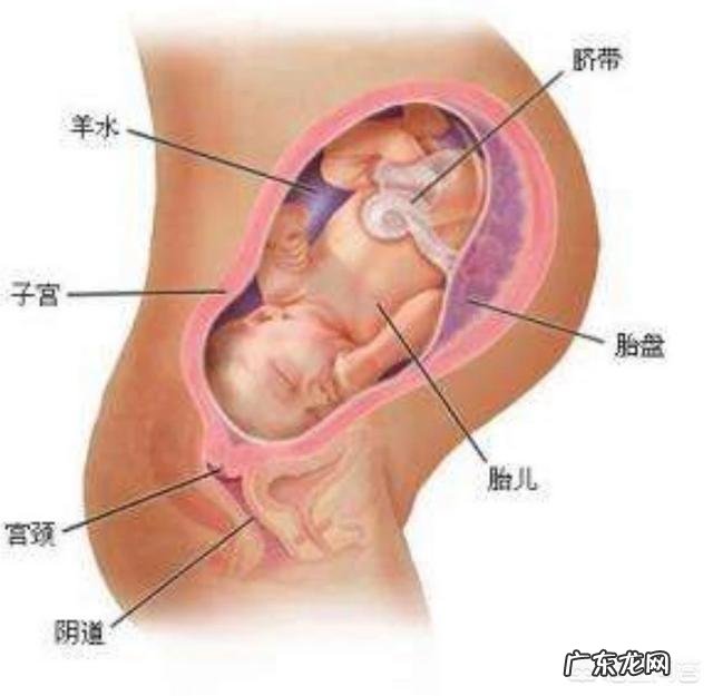 孕40周了,肚子发硬但还没入盆,正常吗?