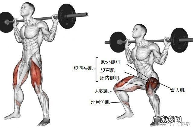 为什么有很多大块头做深蹲硬拉时都那么“宽”