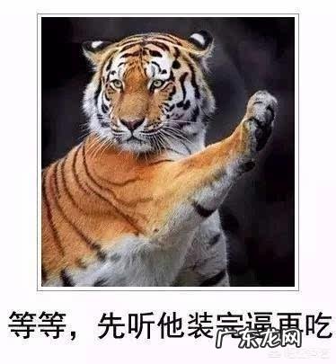 最厉害的老虎是什么虎?什么虎才能称为“虎中之王”?