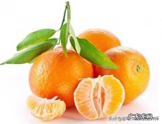 吃橙子能减肥吗？橙子的营养价值、功效、作用及禁忌都有哪些？