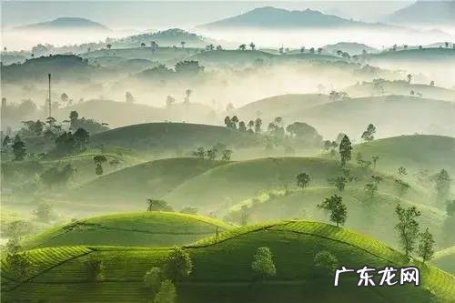 现代孩子的不良习惯究竟是什么原因造成的？