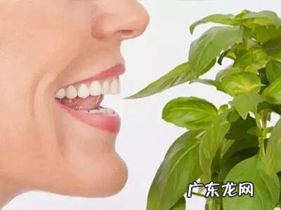 早上起床黄金10分钟该做什么?