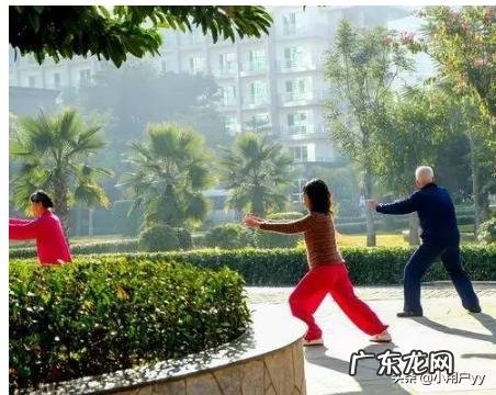 如何做一份快速的营养早餐10分钟左右完成?