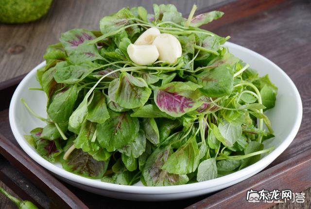 苋菜的功效与作用及禁忌有哪些?