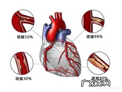早餐补充优质蛋白很重要,什么样的早餐含优质蛋白?