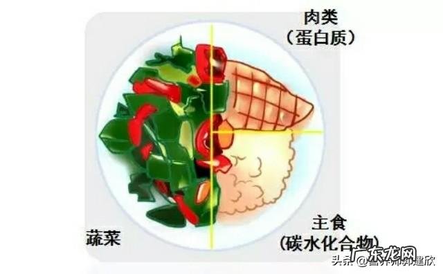 不吃菜和不吃饭哪个更容易减肥?