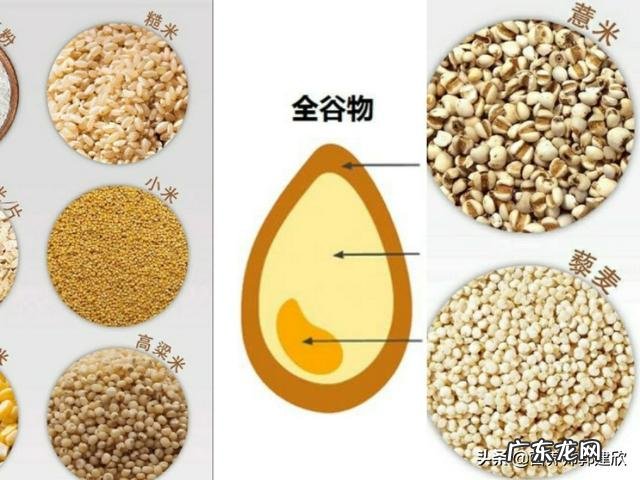 不吃菜和不吃饭哪个更容易减肥?