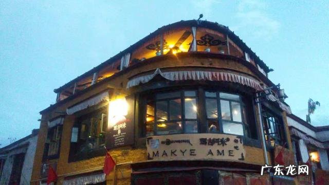 拉萨七千多只流浪狗的幸福生活,吃喝拉撒晒太阳,你羡慕么