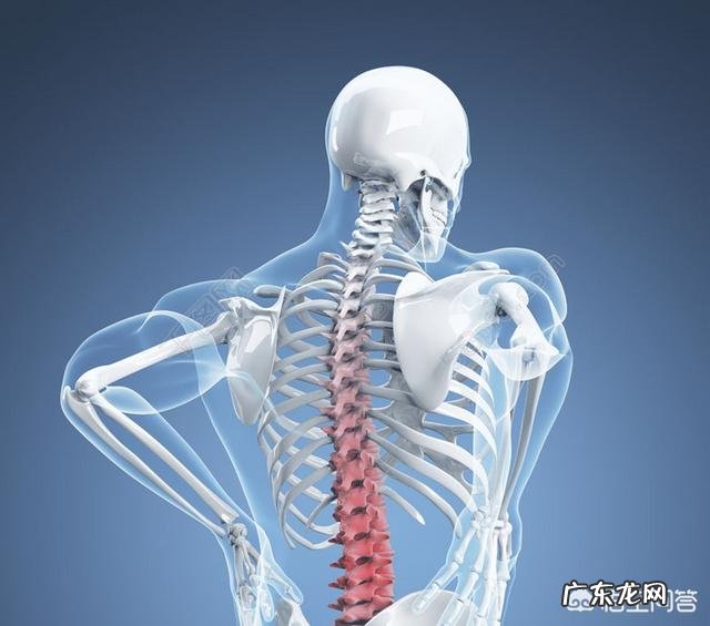 非洲人主要以什么为主食?