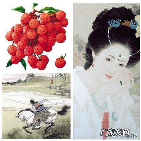 减肥期间体重下降,体质涨了,怎么办?