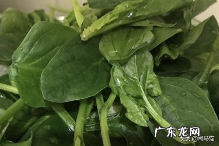 粉丝汤怎么做/粉丝怎么吃？