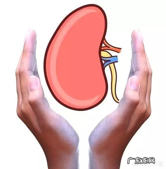 有哪些饮料会引起尿酸升高？