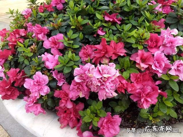 你的人生有过一次或几次大难不死的经历吗?