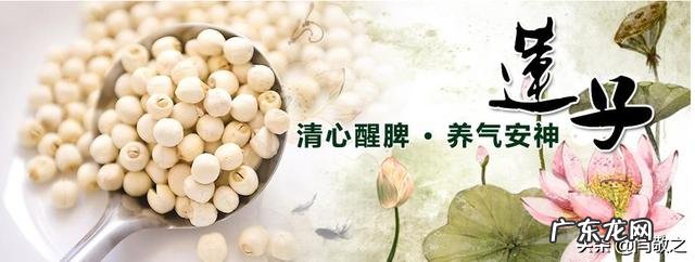 茯苓和黄芪的作用是什么?