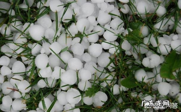 山东这次下冰雹,对农作物损害非常大,你怎么看呢?