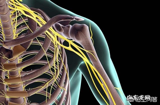 背部有拉紧疼痛感是什么原因？