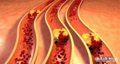 免疫力是最好的医生，秋冬想要唤醒身体免疫力，该如何做