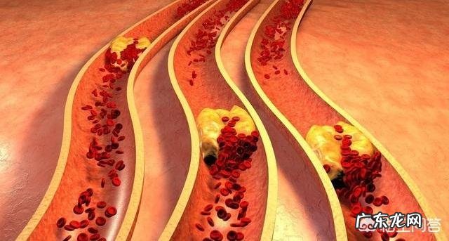 免疫力是最好的医生,秋冬想要唤醒身体免疫力,该如何做