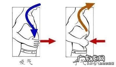 宝妈们孕期怎样科学做运动？