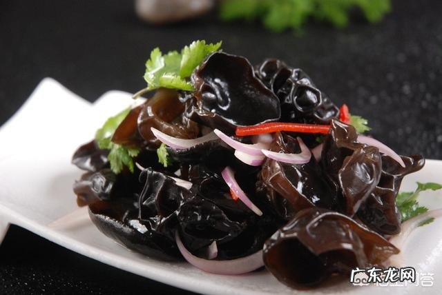 木耳能和洋葱一起吃怎么样? 木耳可以和洋葱一起炒着吃吗