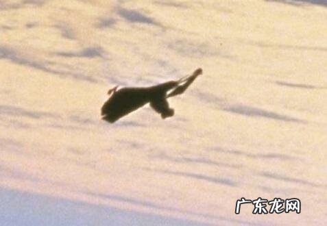 西方网传黑骑士卫星到底是不是真实的?为什么?