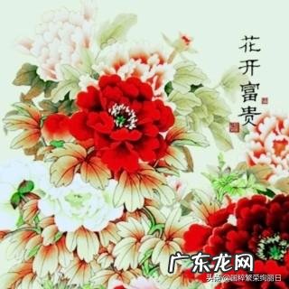 古人为什么说牡丹是“花中富贵者”？