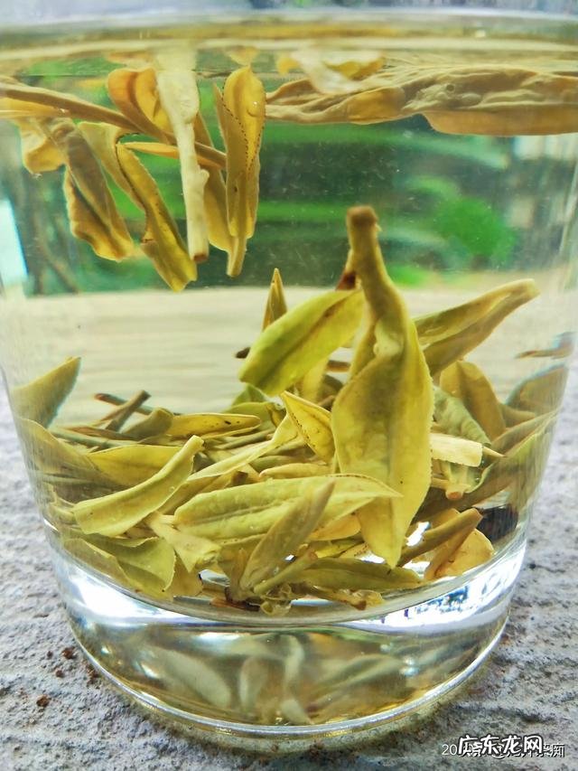 早晨起床空腹喝一杯绿茶怎么样?