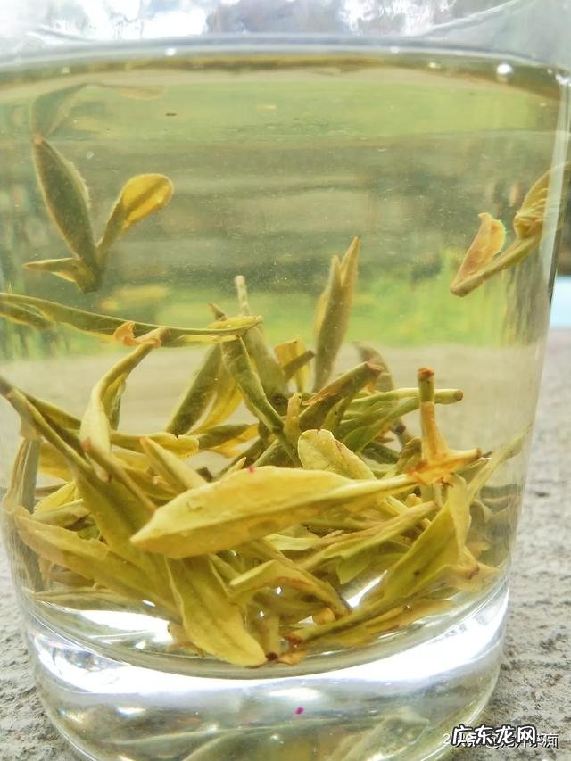 早晨起床空腹喝一杯绿茶怎么样?