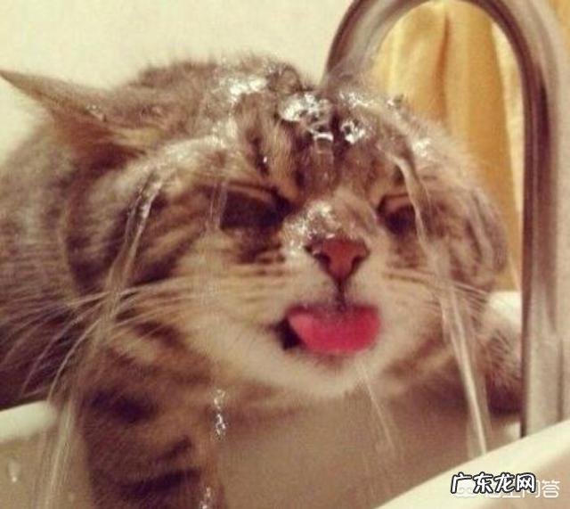 健身时直接喝水好还是之后喝水好?