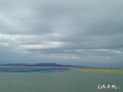 华语乐坛填词界你心中谁是大师ji人物？