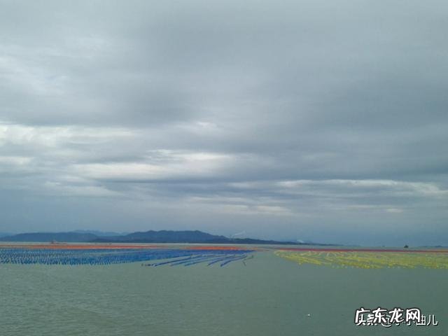 华语乐坛填词界你心中谁是大师ji人物?