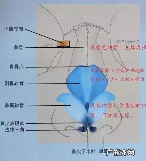 隆鼻手术的几种方式 如何选择隆鼻手术方法