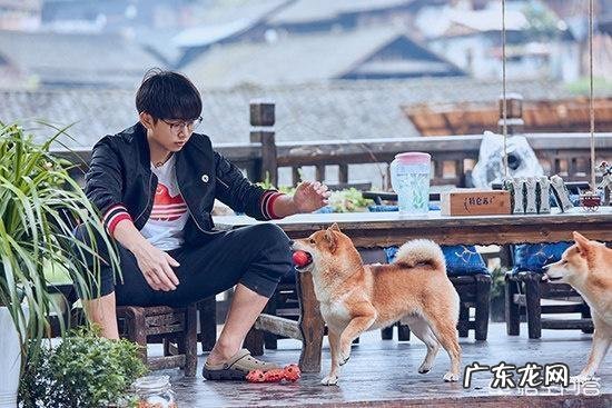 彭昱畅为何能够凭借《向往的生活》圈粉无数？