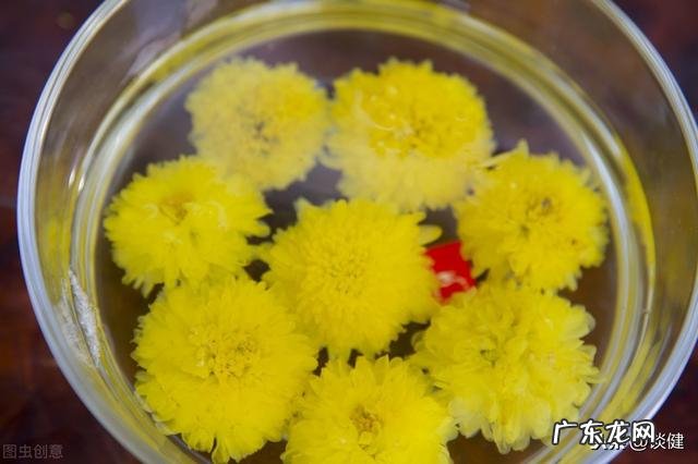 在浙江应该去哪里游玩才好?